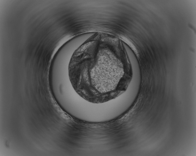 X0000091361138200709071257
