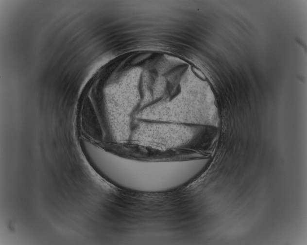 X0000091361139200709071257