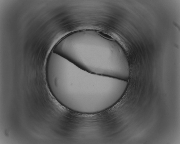 X0000091361140200709071257