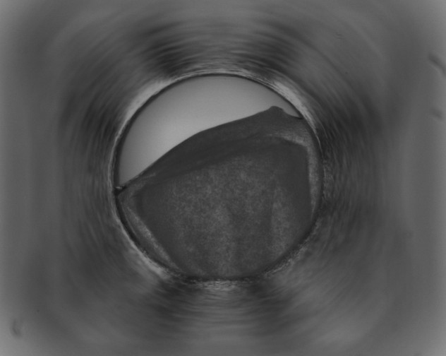 X0000091361141200709071257