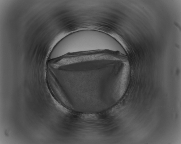 X0000091361143200709071257