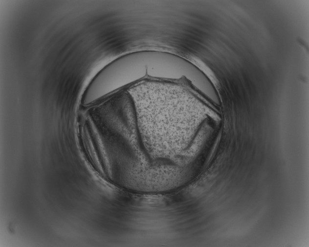 X0000091361144200709071257