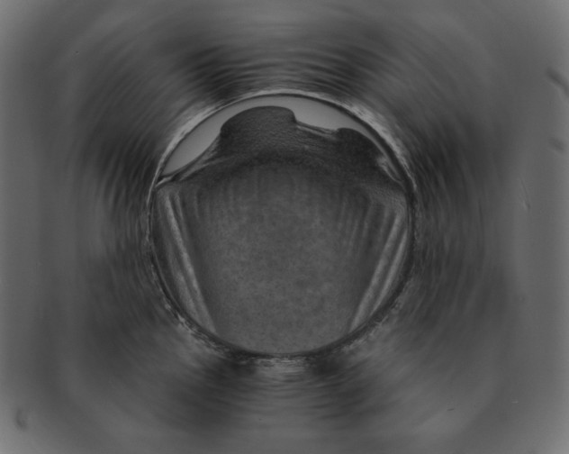 X0000091361145200709071257