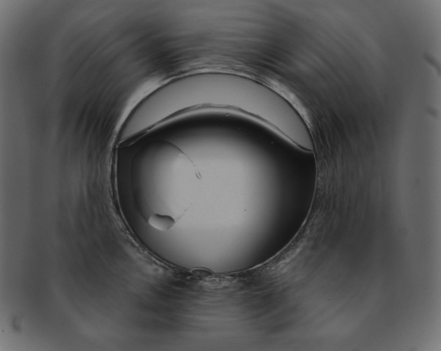 X0000091361146200709071257