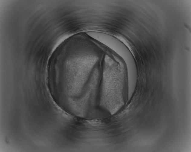 X0000091361147200709071257