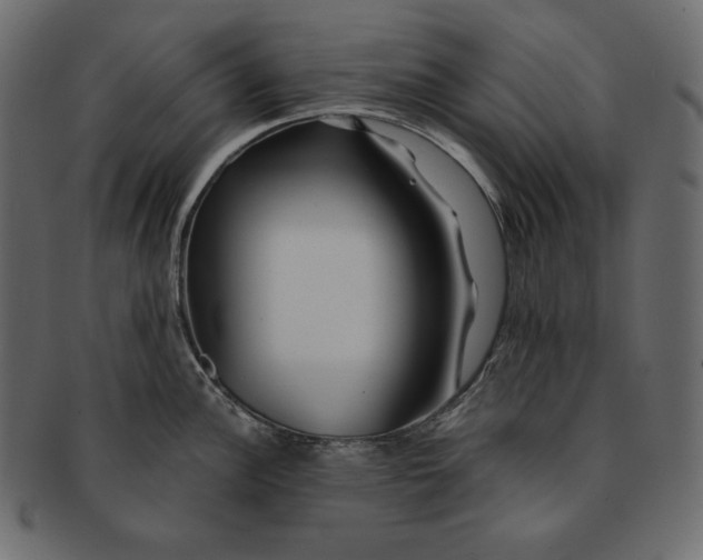 X0000091361148200709071257