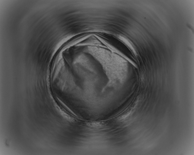 X0000091361149200709071257