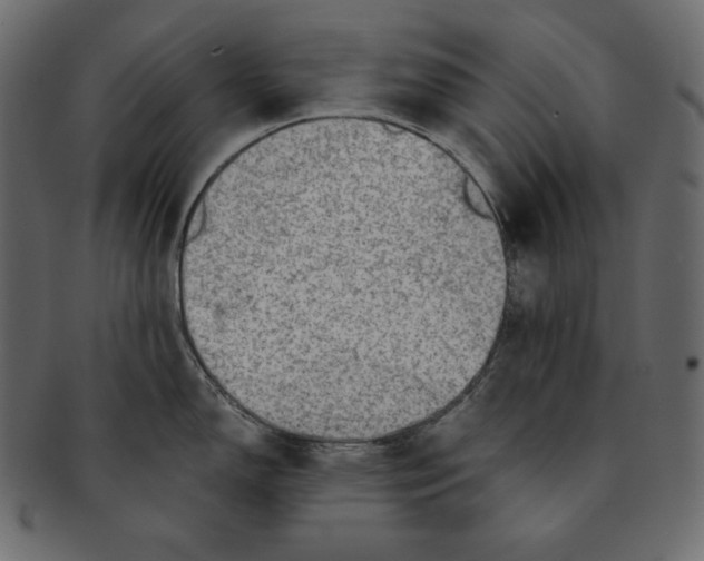 X0000091361150200709071257