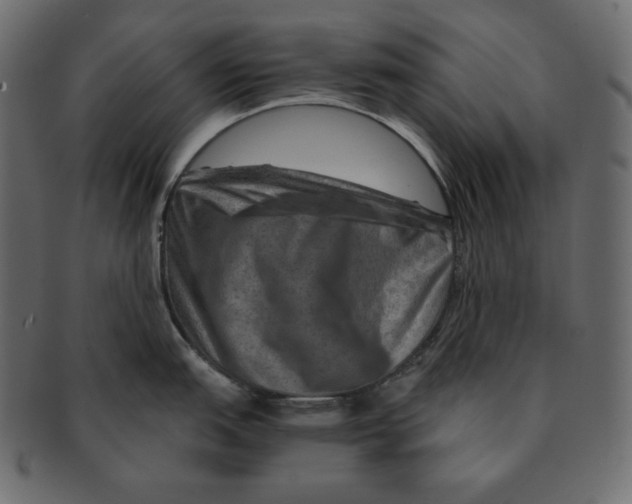 X0000091361151200709071257