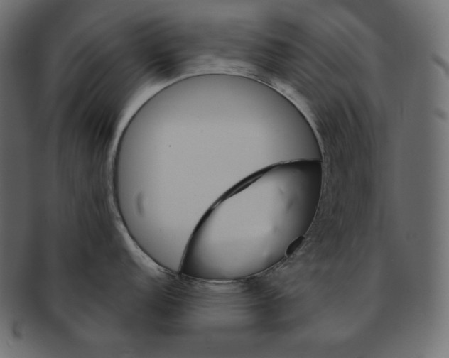 X0000091361152200709071257