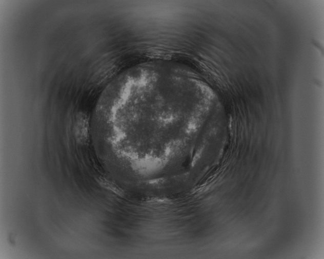 X0000091361154200709071256