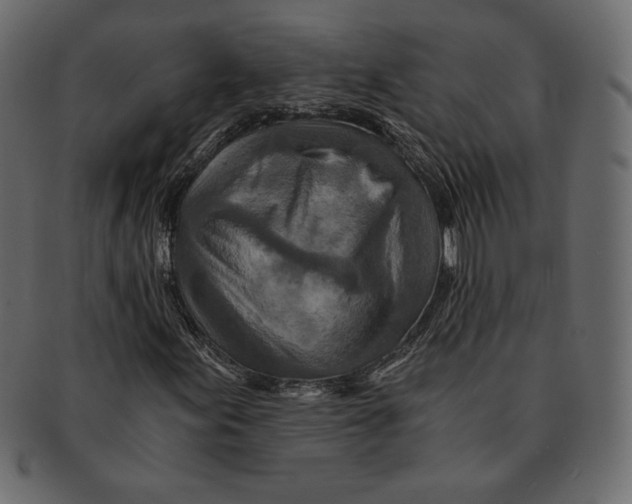 X0000091361155200709071256