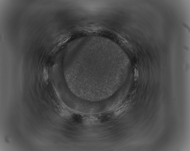 X0000091361156200709071256
