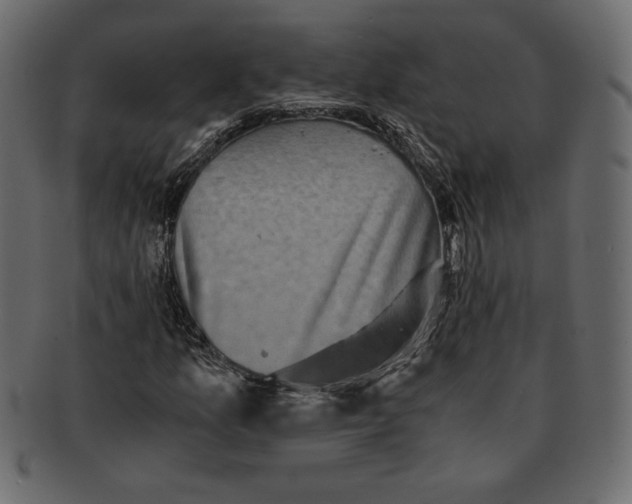 X0000091361157200709071256
