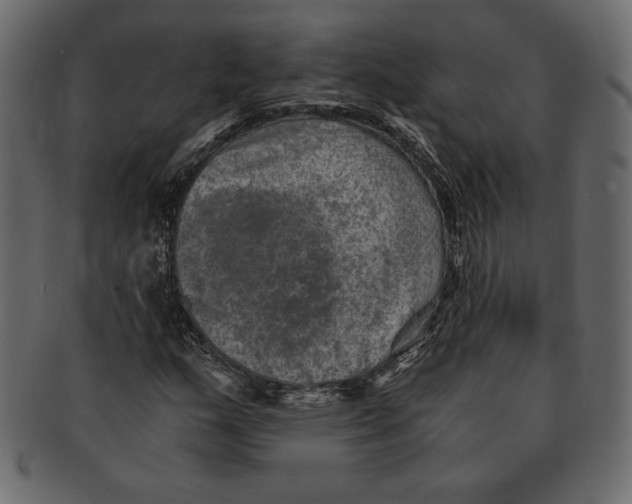 X0000091361159200709071256