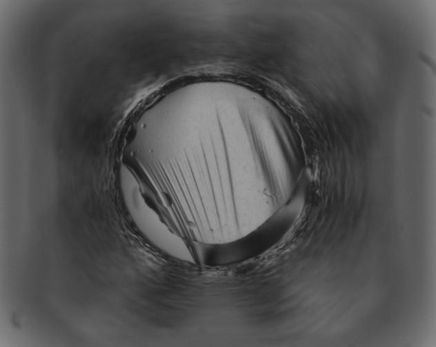 X0000091361160200709071256