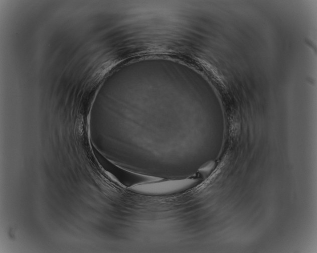 X0000091361161200709071256