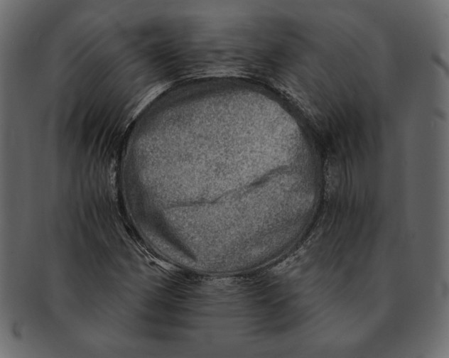 X0000091361162200709071256