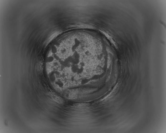 X0000091361163200709071256