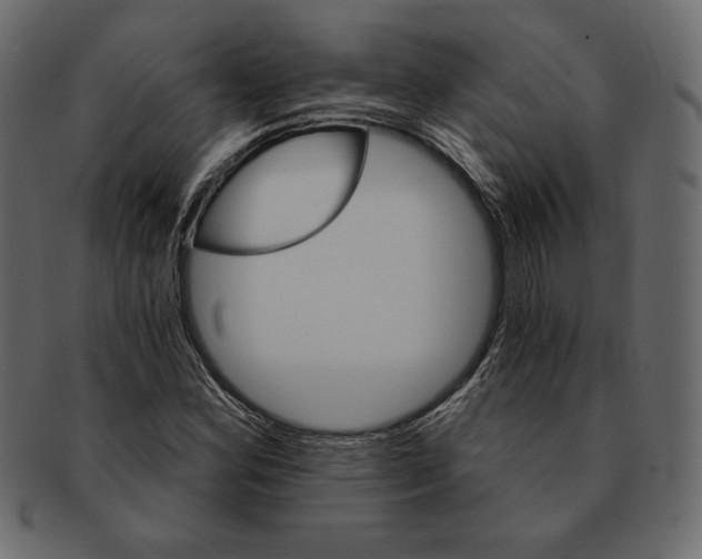 X0000091361164200709071256
