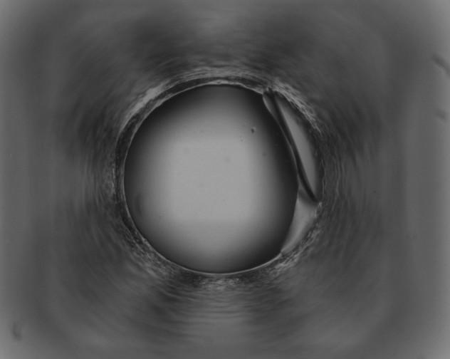 X0000091361165200709071256