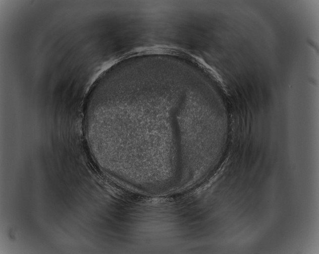 X0000091361166200709071256