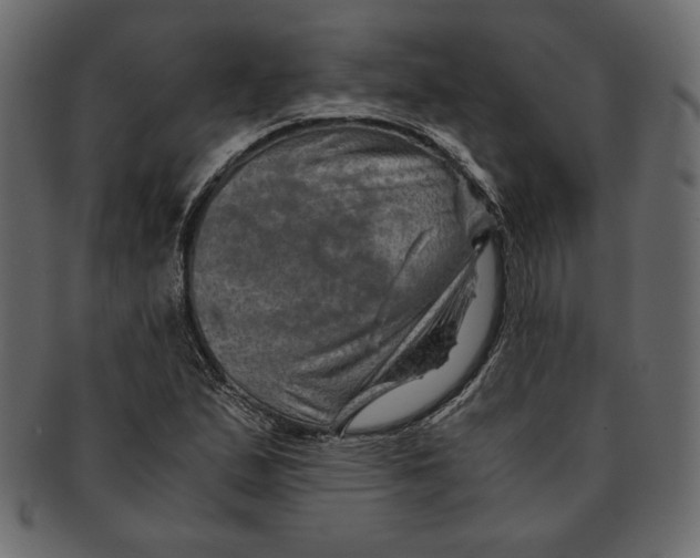 X0000091361167200709071256