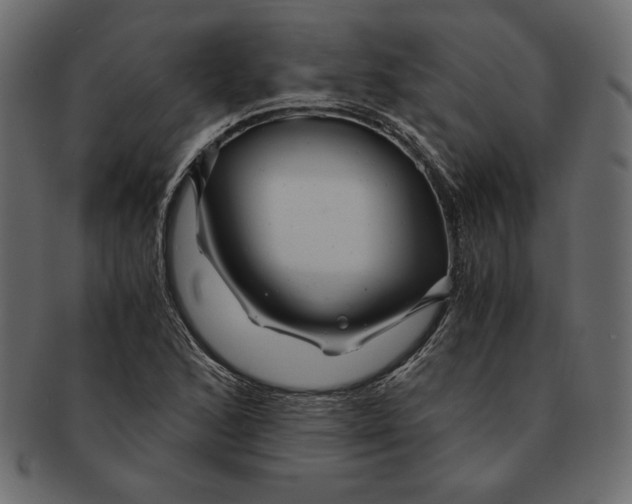 X0000091361168200709071256