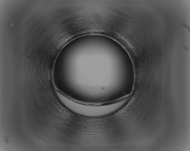 X0000091361169200709071256