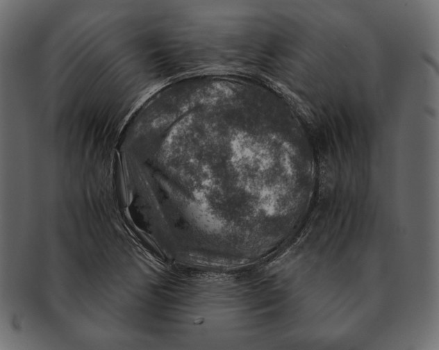 X0000091361170200709071256