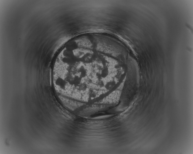 X0000091361171200709071256