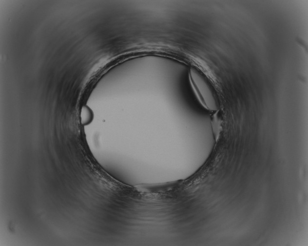 X0000091361172200709071256