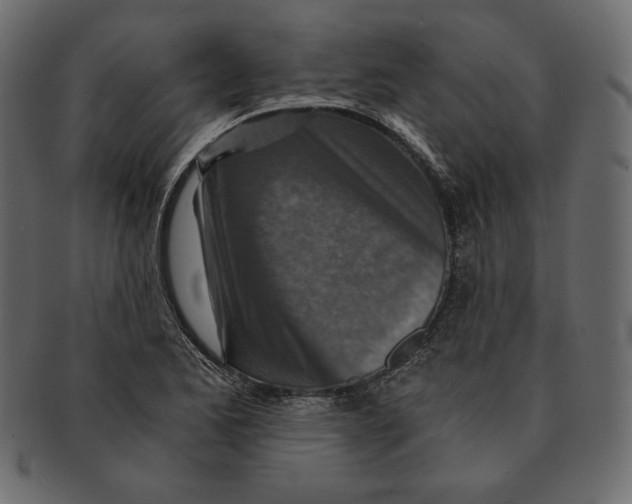 X0000091361173200709071256
