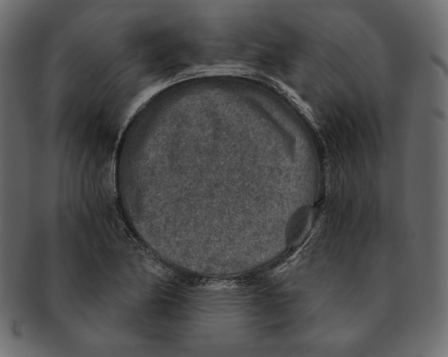 X0000091361174200709071256