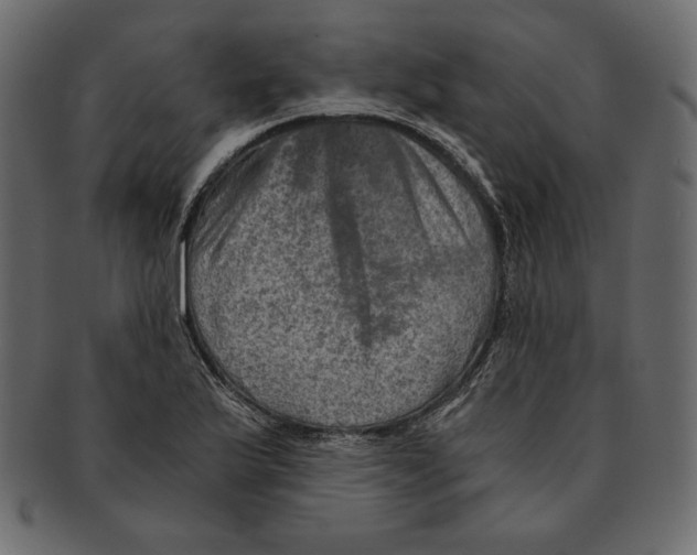 X0000091361175200709071256