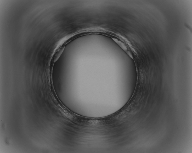 X0000091361176200709071256