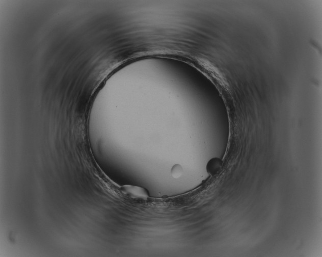 X0000091361177200709071256