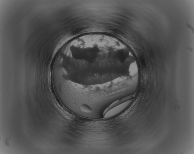 X0000091361179200709071256