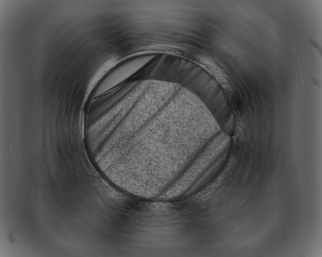 X0000091361180200709071256