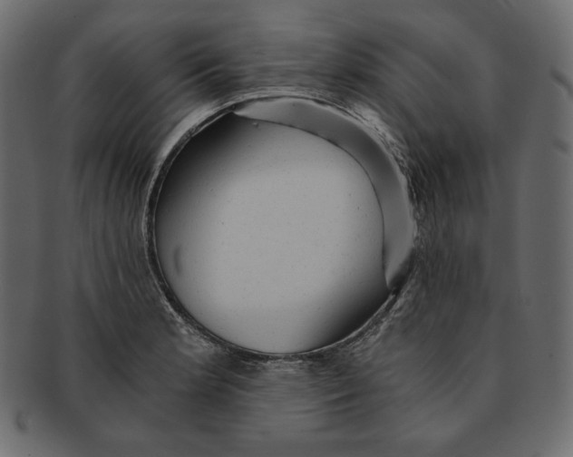 X0000091361181200709071256