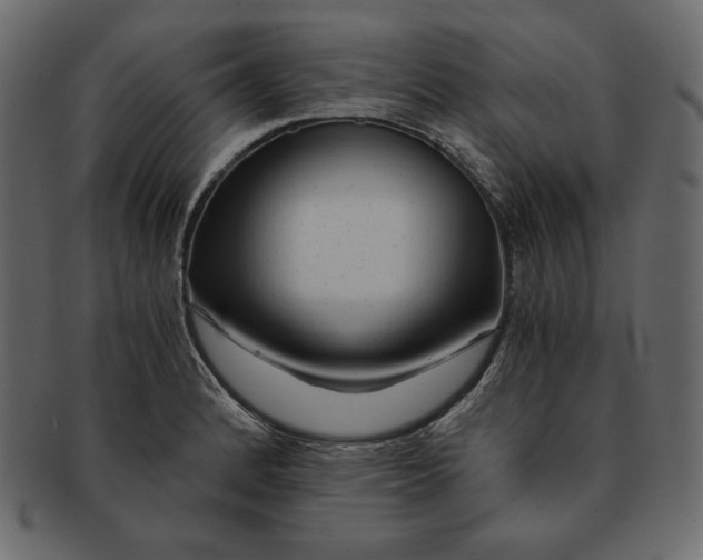 X0000091361184200709071256