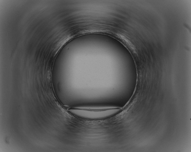 X0000091361185200709071256