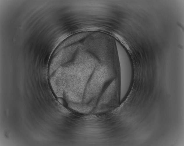X0000091361186200709071256