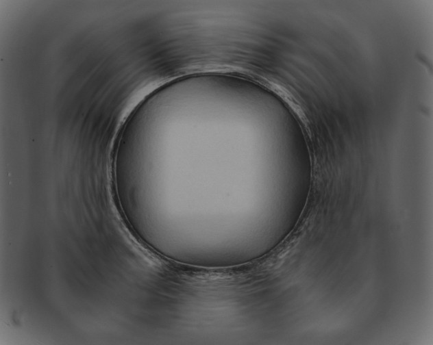 X0000091361187200709071256