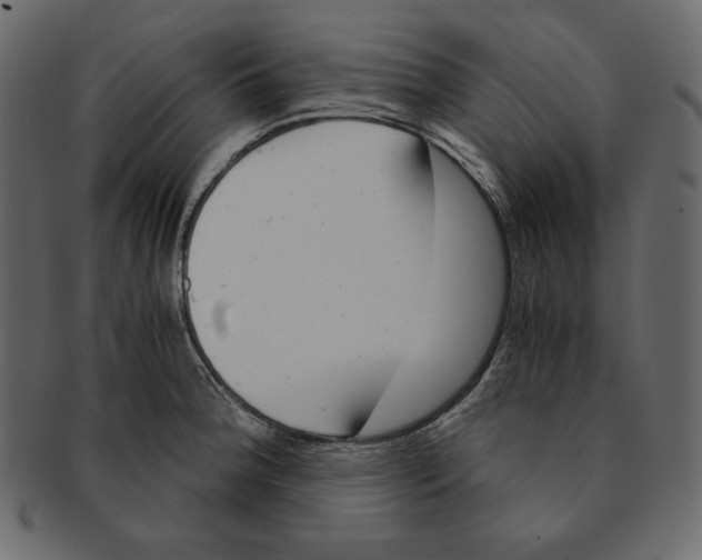 X0000091361188200709071256
