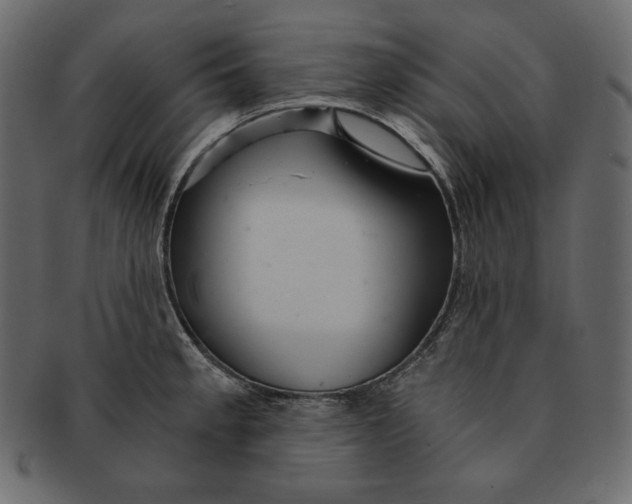 X0000091361189200709071256