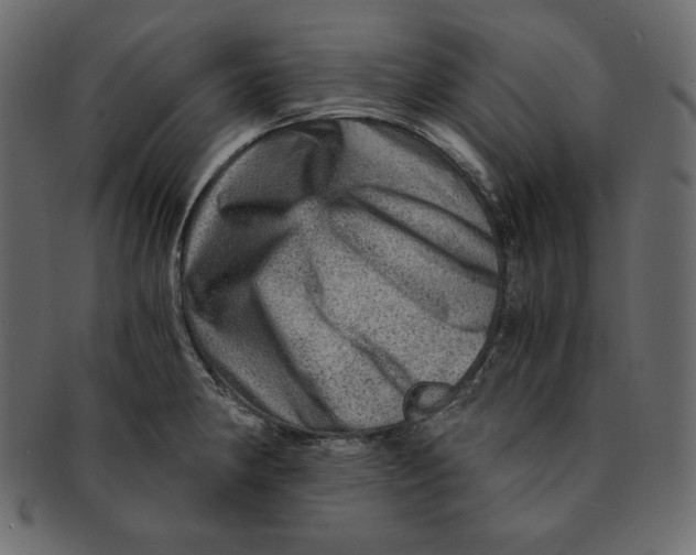 X0000091361190200709071256