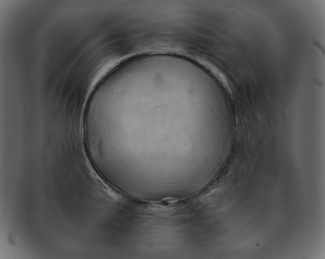 X0000091361191200709071256