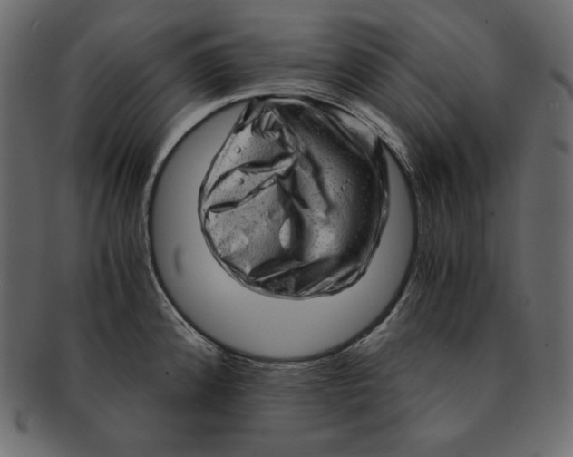 X0000091361192200709071256