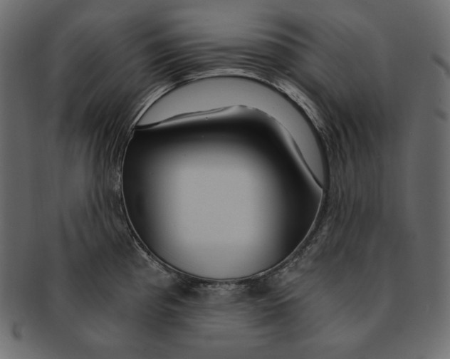 X0000091361193200709071256